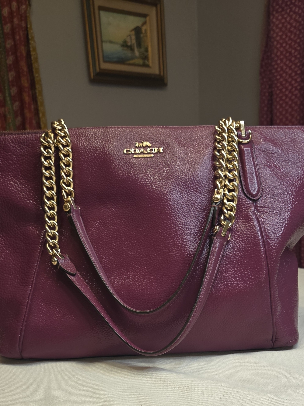 Coach Plum Leather Chain-Handle City Tote